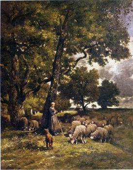 unknow artist Sheep 167 oil painting picture